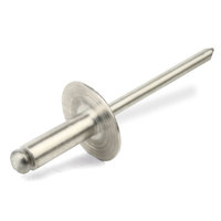 Rivetti Allumino Testa Larga